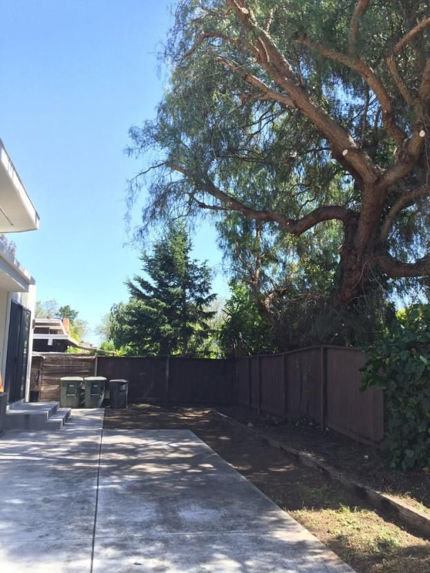 On location at Valley Tree Care Inc., a Arborist in Mountain View, CA